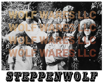 Original Band Lineup Photo